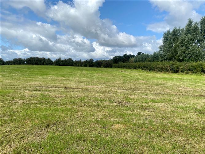 c. 53 Acres, Eagle Hill, Suncroft, Curragh, Kildare