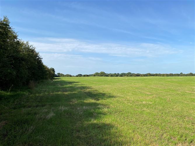 c. 53 Acres, Eagle Hill, Suncroft, Curragh, Kildare