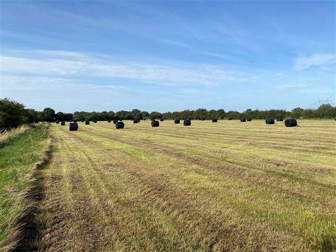 c. 53 Acres, Eagle Hill, Suncroft, Curragh, Kildare