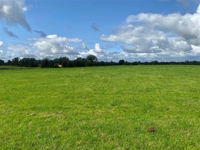 c. 53 Acres, Eagle Hill, Suncroft, Curragh, Kildare