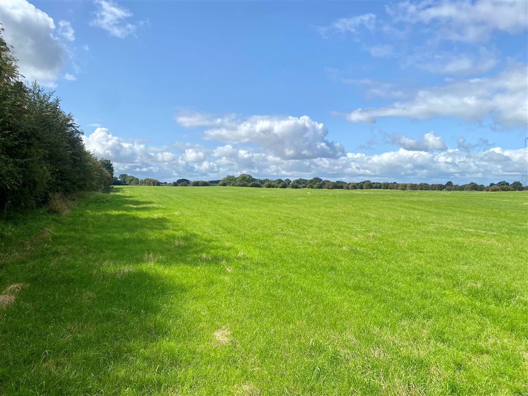 c. 53 Acres, Eagle Hill, Suncroft, Curragh, Kildare