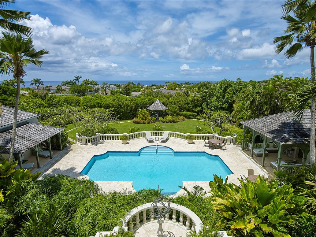 Tropical Birds,Lancaster,Saint James,Barbados
