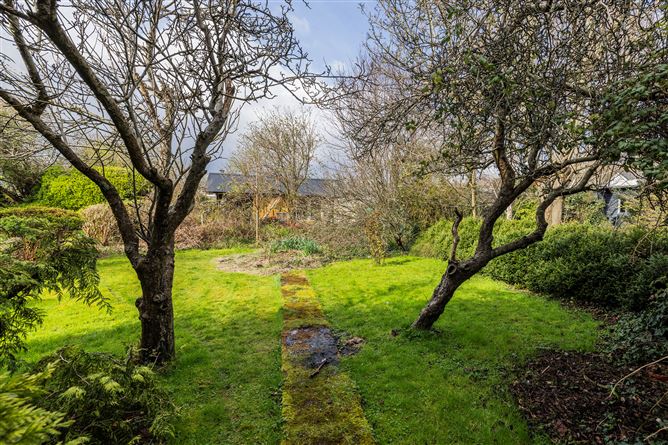 https://photos-a.propertyimages.ie/media/7/3/7/4912737/9cd6b186-f565-4aa1-beec-4131399a595d_l.jpg
