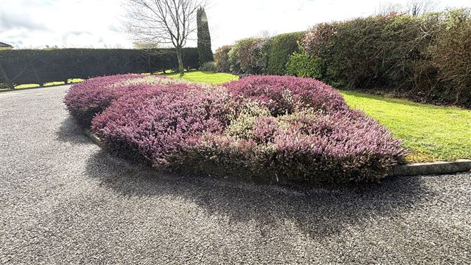 Aghareagh , Longford, Longford