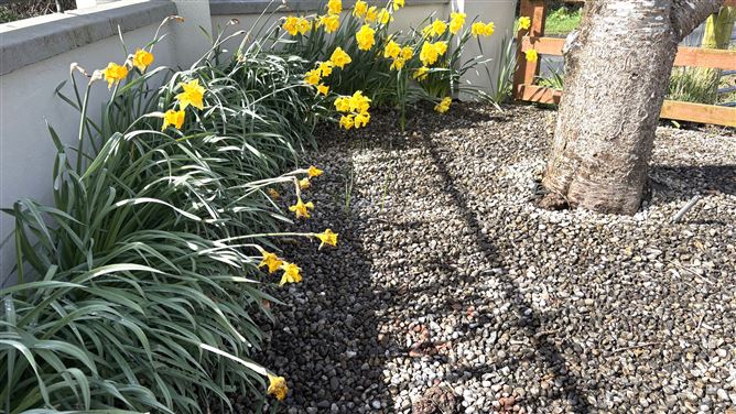 Aghareagh , Longford, Longford