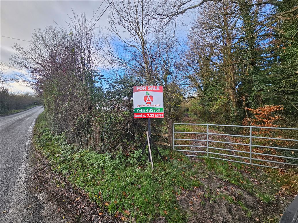 Old Town ( Athgarvan to Two Mile House Rd ), Newbridge, Kildare