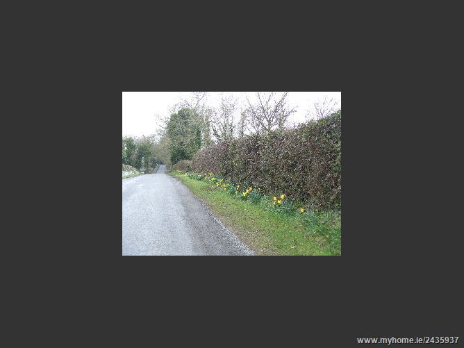 Cultrummer, Drumree, Meath