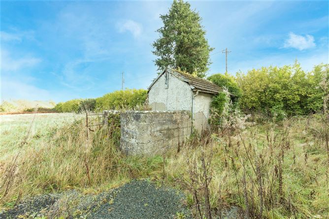 Ballymore, Camolin, Co. Wexford