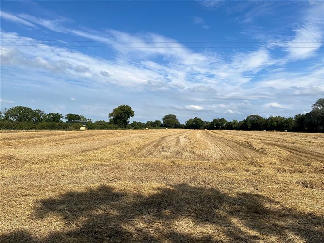 Land C. 12.3 Acres / 4.98 Hectares, Clonfert South, Maynooth, Kildare