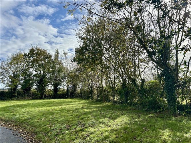 Ballybawn, Screen, County Wexford