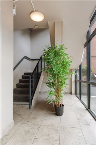 Apt 6, Parkview, 113 Harold's Cross Road, Dublin 6W