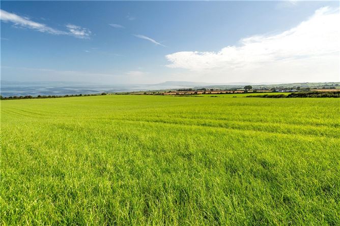 Lot 2 - Land At Craigbrack Road South, Eglinton, Co. Derry/Londonderry