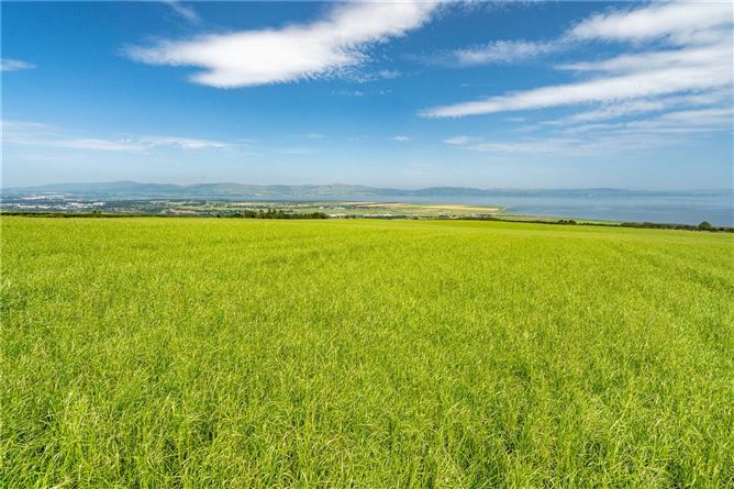 Lot 2 - Land At Craigbrack Road South, Eglinton, Co. Derry/Londonderry