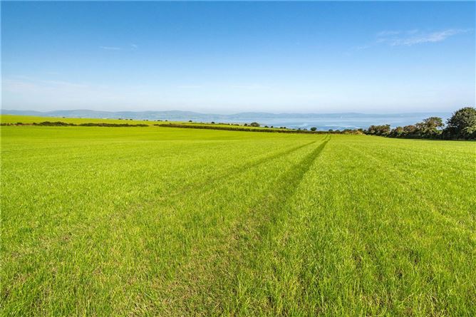 Lot 2 - Land At Craigbrack Road South, Eglinton, Co. Derry/Londonderry