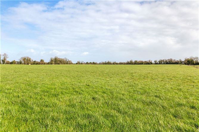 Photo 19 of 27 — Lot 1 - Skidoo House & Farm, Skidoo, Ballyboughal, Co. Dublin