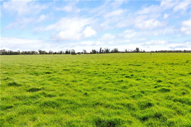 Photo 21 of 27 — Lot 1 - Skidoo House & Farm, Skidoo, Ballyboughal, Co. Dublin