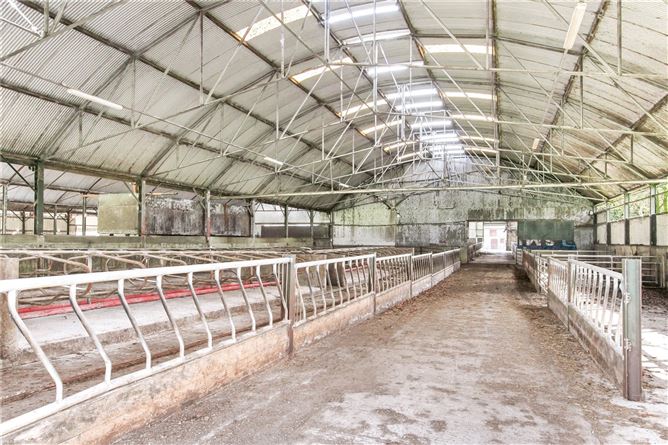 Photo 8 of 27 — Lot 1 - Skidoo House & Farm, Skidoo, Ballyboughal, Co. Dublin