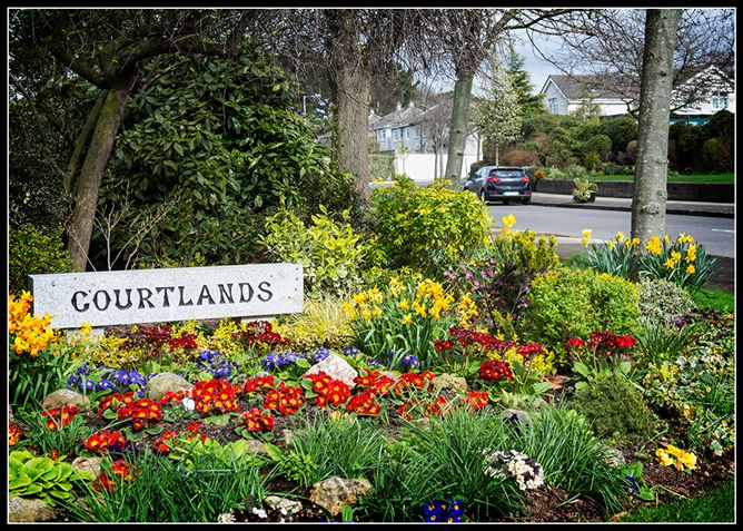 11 WALNUT PARK, Drumcondra, Dublin 9