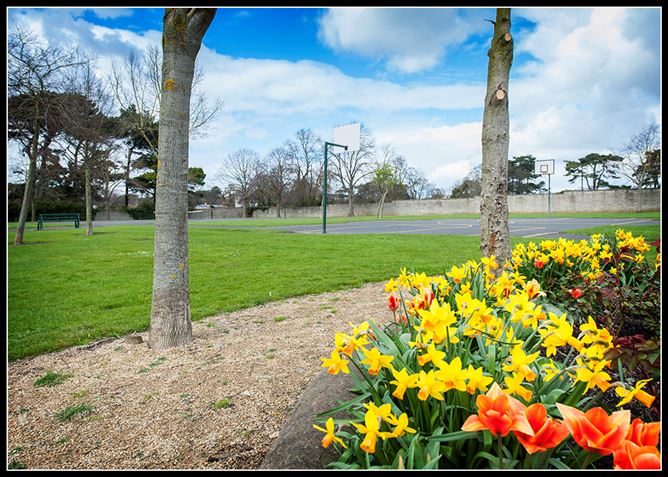 11 WALNUT PARK, Drumcondra, Dublin 9