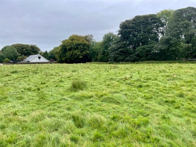 Land c. 6.15 Acres / 2.5 HA., Broadlease Commons, Ballymore Eustace, Kildare