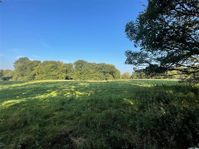 Land c. 6.15 Acres / 2.5 HA., Broadlease Commons, Ballymore Eustace, Kildare