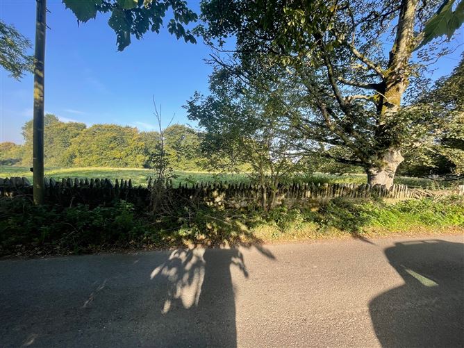 Land c. 6.15 Acres / 2.5 HA., Broadlease Commons, Ballymore Eustace, Kildare