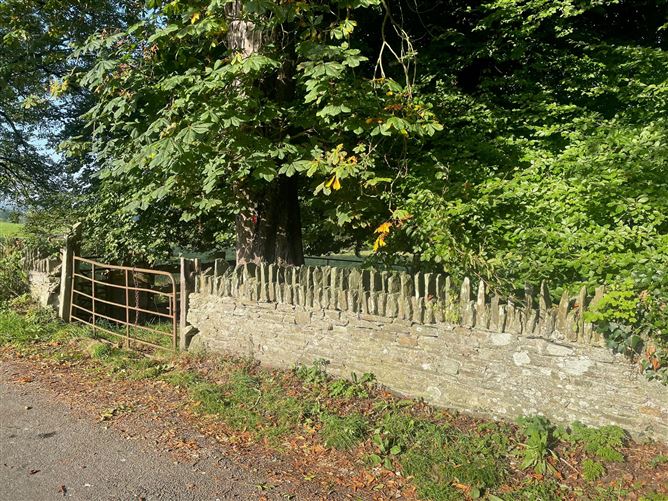 Land c. 6.15 Acres / 2.5 HA., Broadlease Commons, Ballymore Eustace, Kildare
