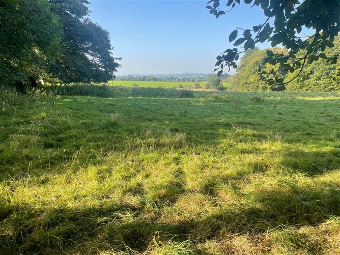 Land c. 6.15 Acres / 2.5 HA., Broadlease Commons, Ballymore Eustace, Kildare