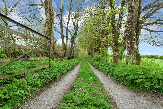 Teach Fada On c. 1 Acre, Tournant Upper, Dunlavin, Wicklow