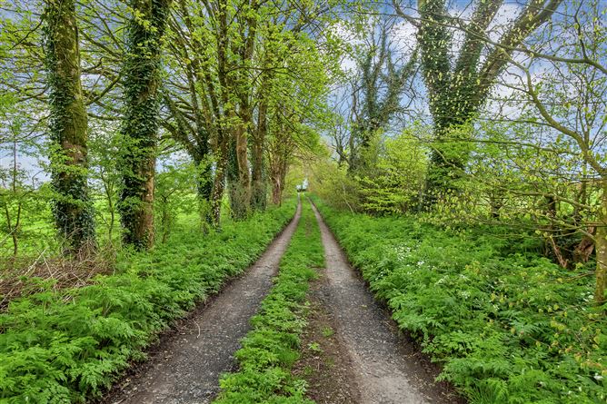 Teach Fada On c. 1 Acre, Tournant Upper, Dunlavin, Wicklow
