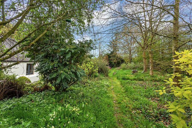 Teach Fada On c. 1 Acre, Tournant Upper, Dunlavin, Wicklow