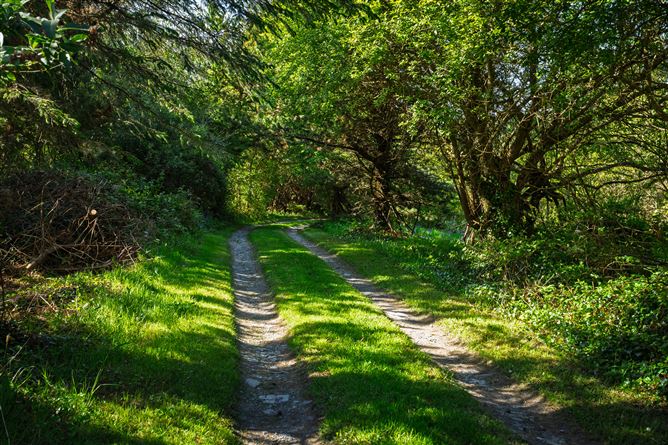 Lackahane, Baltimore, Cork