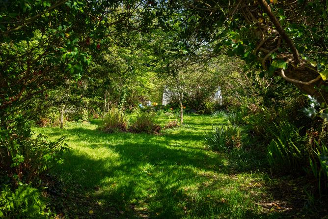 Lackahane, Baltimore, Cork
