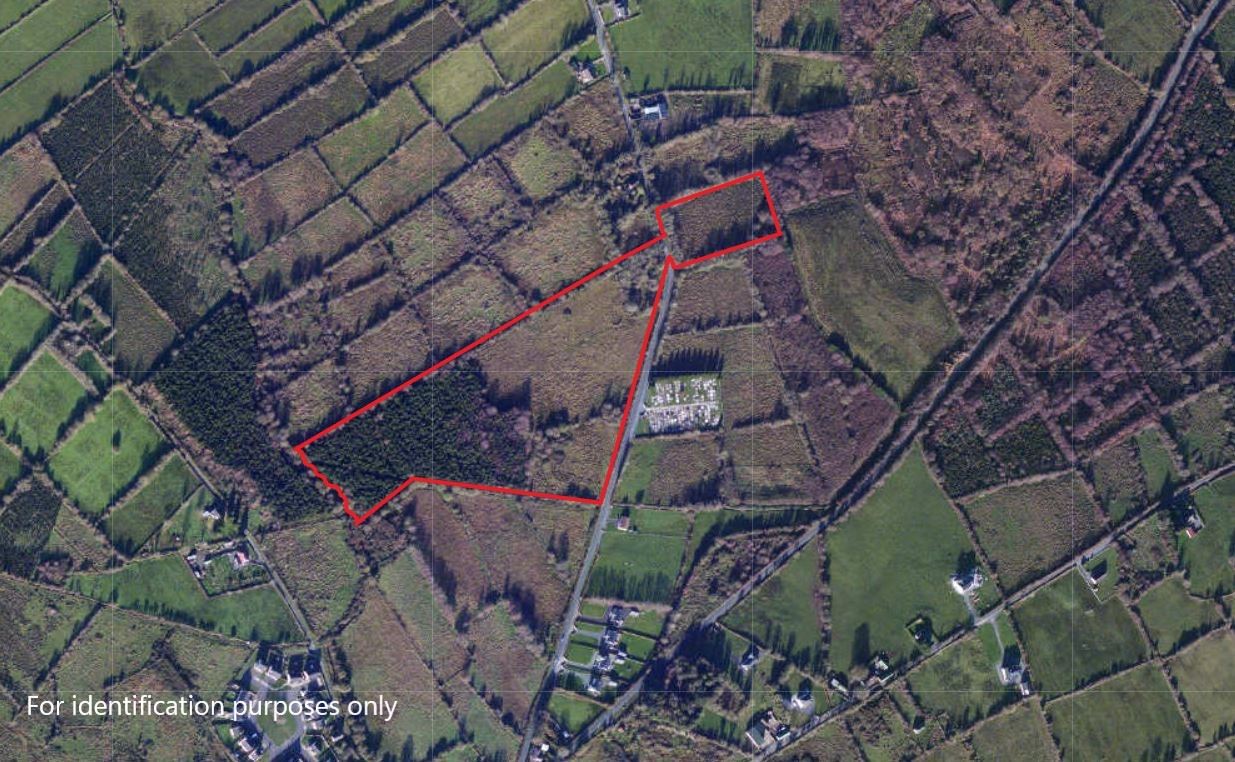 Lands at Barraghbeg, Drumlish, Longford