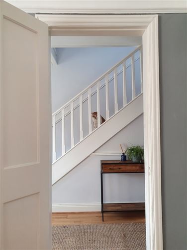 Cosy room and lovely garden, Dublin 9, Dublin