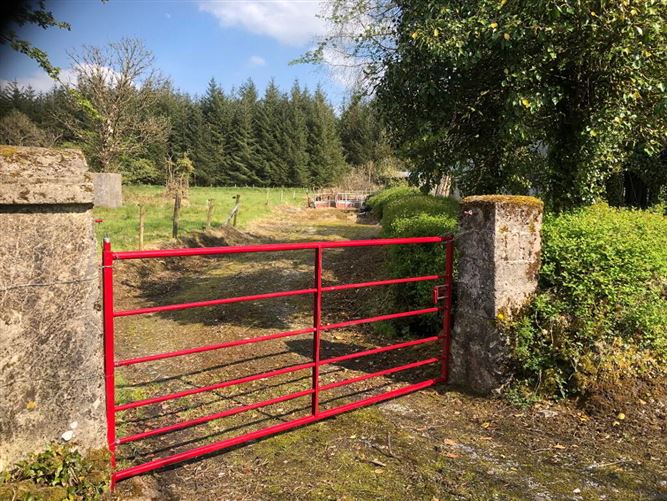 Ballyglass, Ballinagare, Roscommon