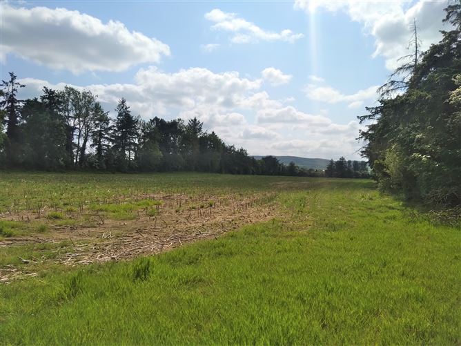 Kildalton, Piltown, Kilkenny