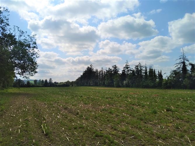 Kildalton, Piltown, Kilkenny