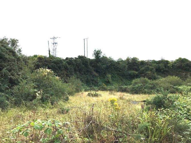 Development Lands Vale Road, Arklow, Wicklow