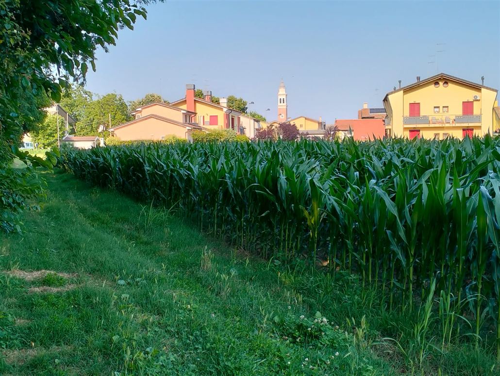 Private, Trebaseleghe, Veneto, Silvelle di Trebaseleghe