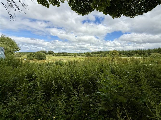 Driney, Loughglynn, County Roscommon