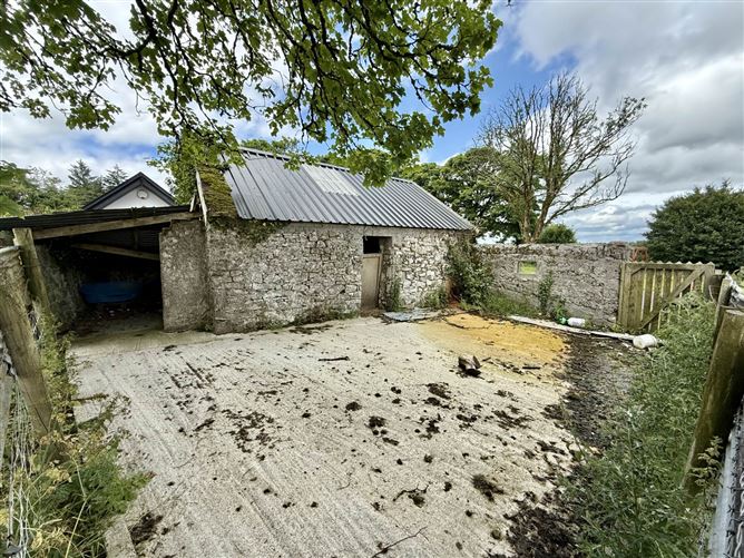 Driney, Loughglynn, County Roscommon