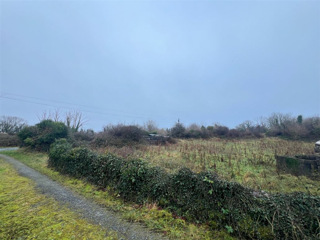 Cloonabinnia, Moycullen, Galway
