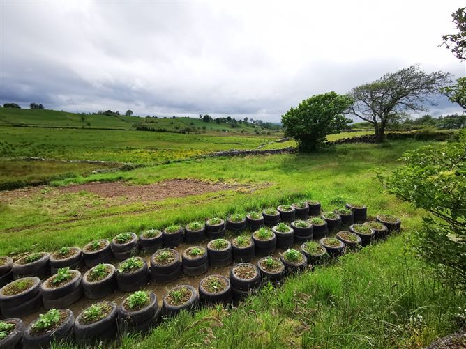 Derrycashel, Kilkelly, Co. Mayo