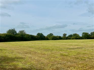 Image for c. 16.6 Acres, Cooltrim, Donadea, Kildare