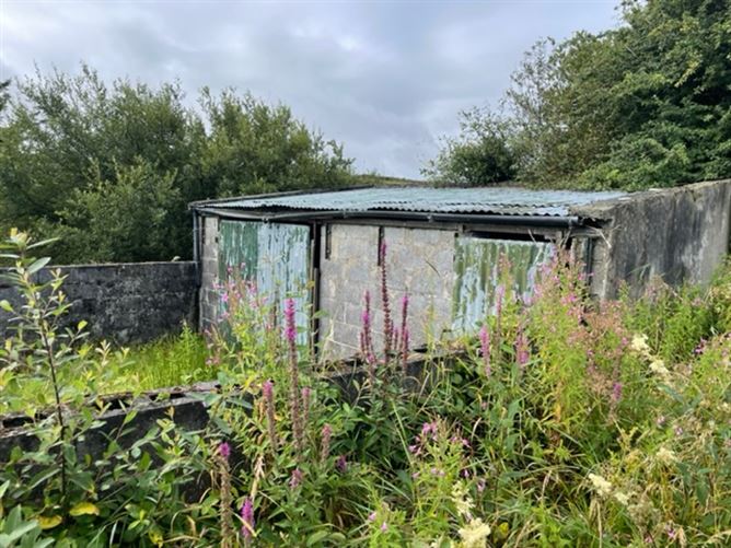 Ballingaddy East, Ennistymon, Clare