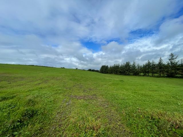 Ballingaddy East, Ennistymon, Clare