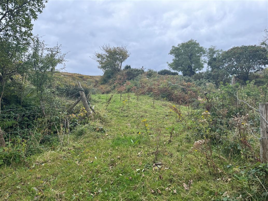 Ref 1147 - Lands at Brackaharagh, Caherdaniel, Kerry