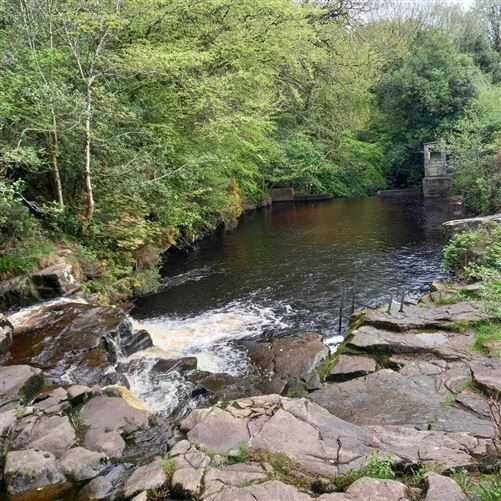 1 Acre Site, Cappanrush, Ballyfin, Co. Laois