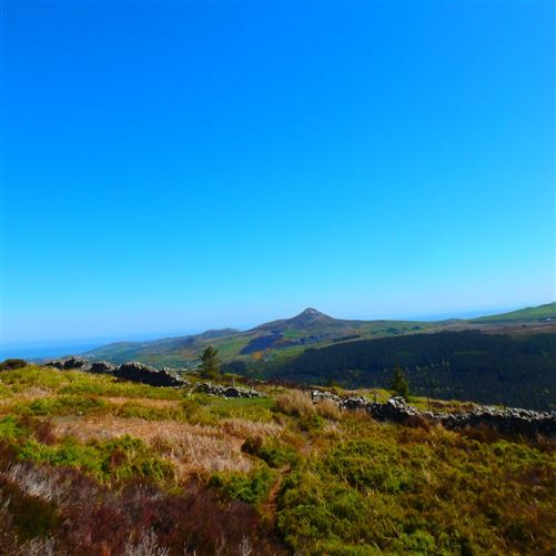 33 PRIORY DRIVE, Delgany, Wicklow